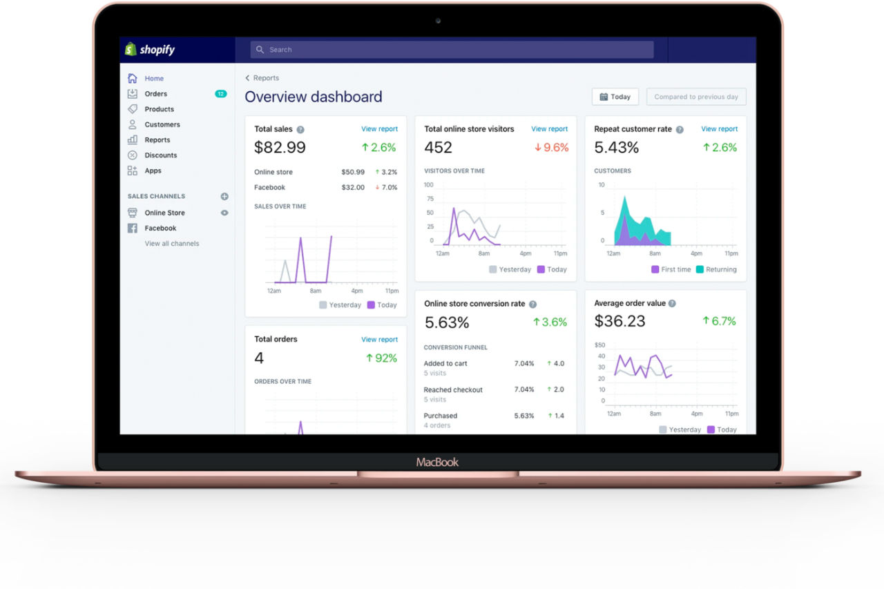 Professional Shopify Website Design